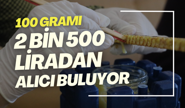 Binbir zahmetle üretiliyor, 100 gramı 2 bin 500 liradan alıcı buluyor