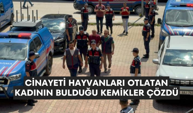 Cinayeti hayvanları otlatan kadının bulduğu kemikler çözdü