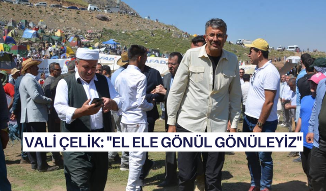 Vali Çelik: "El ele gönül gönüleyiz"