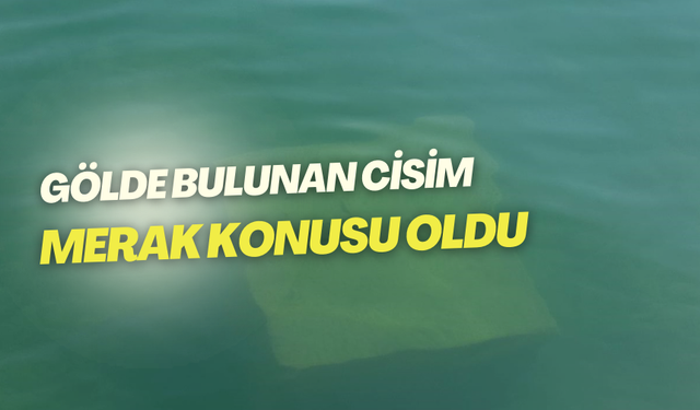 Gölde bulunan cisim merak konusu oldu