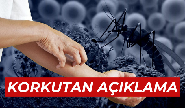 Sağlık Bakanlığından "Batı Nil Virüsü" açıklaması: 6 kişide tespit edildi