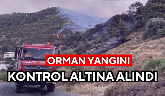 Manisa'daki orman yangını kontrol altına alındı