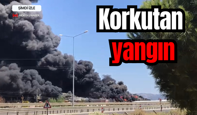 Alaşehir’de korkutan yangın: Dumanlar gökyüzünü kapladı