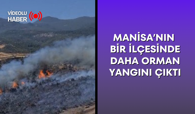 Manisa’nın bir ilçesinde daha orman yangını çıktı