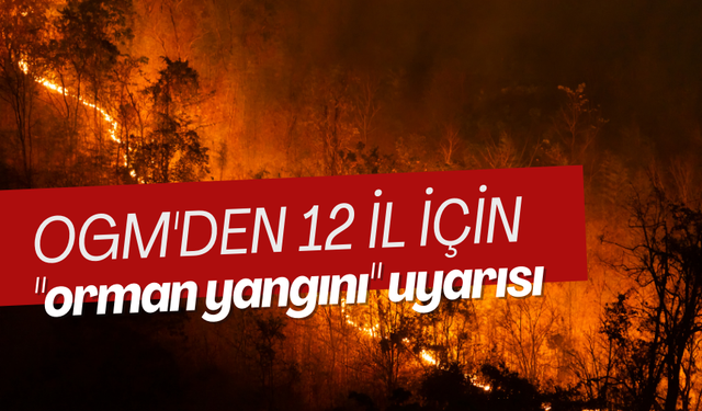 OGM tek tek uyardı! 12 il için riskli "orman yangını" uyarısı