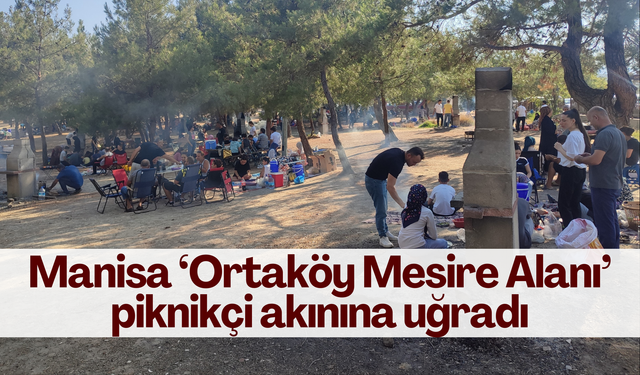 Manisa ‘Ortaköy Mesire Alanı’ piknikçi akınına uğradı