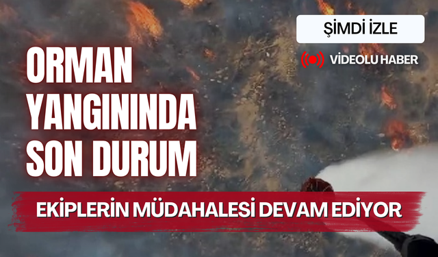 Orman yangınında son durum... Ekiplerin müdahalesi devam ediyor