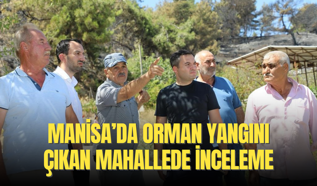 Manisa’da orman yangını çıkan mahallede inceleme