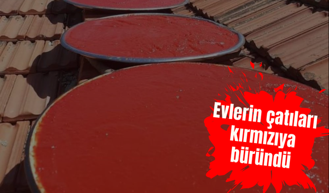 Evlerin çatıları kırmızıya büründü