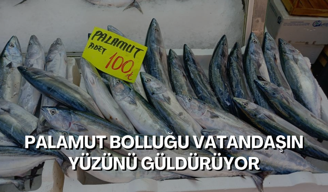 Palamut bolluğu vatandaşın yüzünü güldürüyor