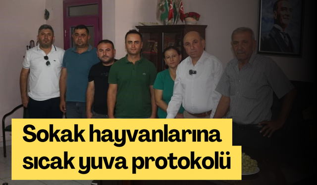 Sarıgöl'de sokak hayvanlarına sıcak yuva protokolü