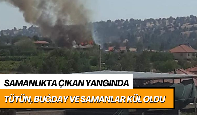 Samanlıkta çıkan yangında tütün, buğday ve samanlar kül oldu