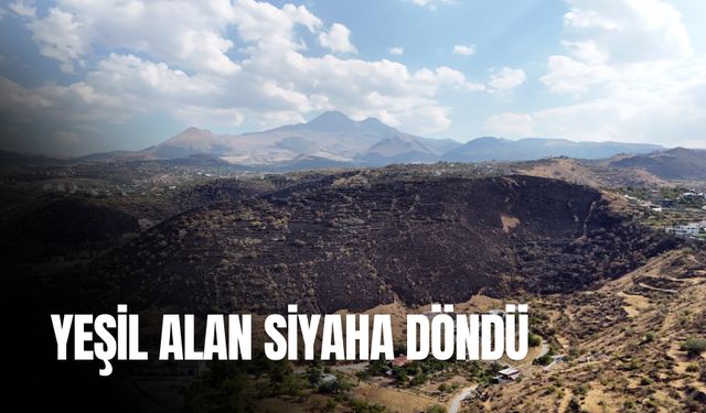 Yeşil alan siyaha döndü