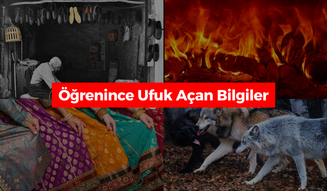 Bunları Biliyor muydunuz? | Deyimlerin İlginç Kökenleri