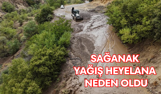 Sağanak yağış heyelana neden oldu