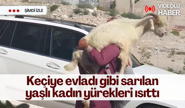 Keçiye evladı gibi sarılan yaşlı kadın yürekleri ısıttı