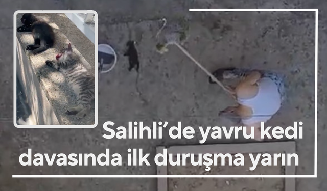 Salihli’de 3 yavru kedi vahşice öldürülmüştü! İlk duruşma yarın gerçekleştirilecek