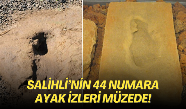 Demiköprü Barajı inşa edilirken keşfedilmişti! Salihli’nin binlerce yıllık 44 numara ayak izleri müzede!