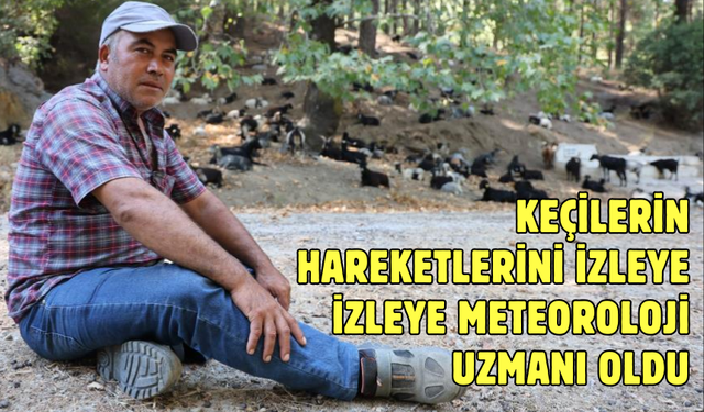 Keçilerin hareketlerini izleyerek meteoroloji uzmanı Oldu...