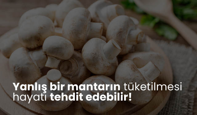 Yanlış bir mantarın tüketilmesi hayatı tehdit edebilir!