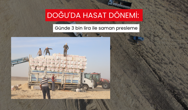 Doğu'da hasat dönemi: Günde 3 bin lira ile saman presleme