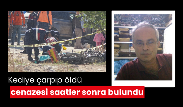 Kediye çarpıp öldü, cenazesi saatler sonra bulundu