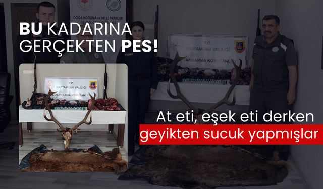 Bu kadarına gerçekten pes! At eti eşek eti derken geyikten sucuk yapıp vatandaşa yedirmişler