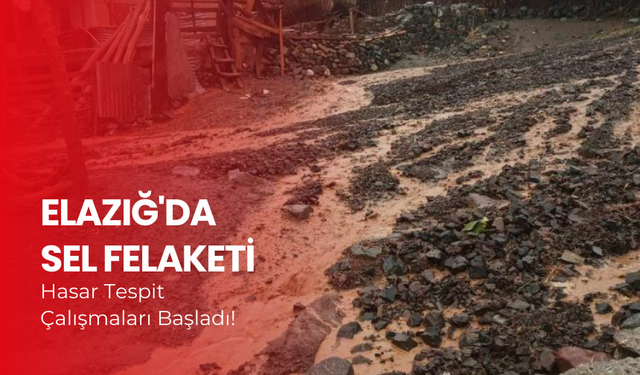 Elazığ'da sel felaketinin zararı gözler önünde!