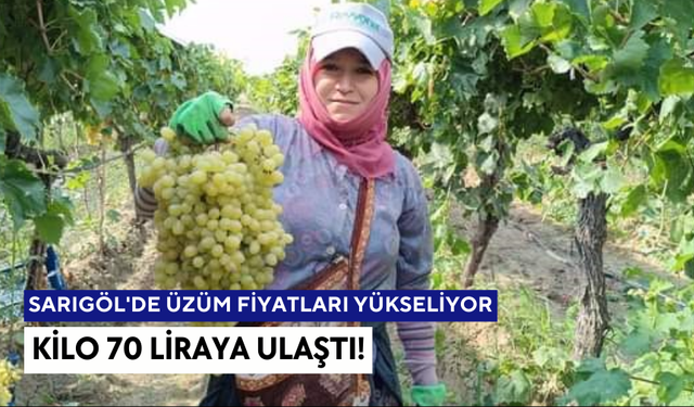 Sarıgöl'de Yaş Üzüm Fiyatları Uçtu | Kilosu 70 lirayı gördü