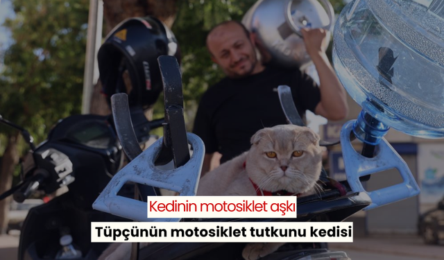 Tüp ve su satışı yapan kişi motosikletinde kedisiyle birlikte servise gidiyor, arkada oturan kedi görenleri şaşırtıyor