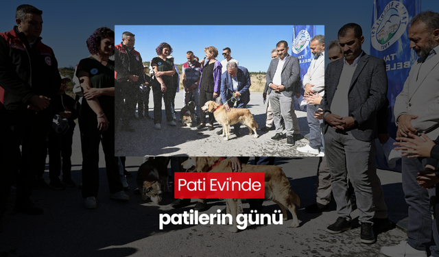 Pati Evi'nde patilerin günü