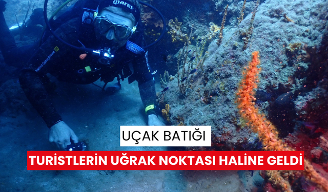 Uçak batığı turistlerin uğrak noktası haline geldi