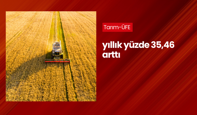 Tarım-ÜFE yıllık yüzde 35,46 arttı