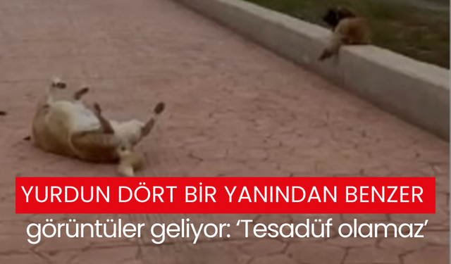 Yurdun dört bir yanından benzer görüntüler geliyor: ‘Tesadüf olamaz’