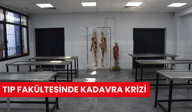 Tıp fakültesinde kadavra krizi: Türkiye’de bulunamıyor, ithal edecekler