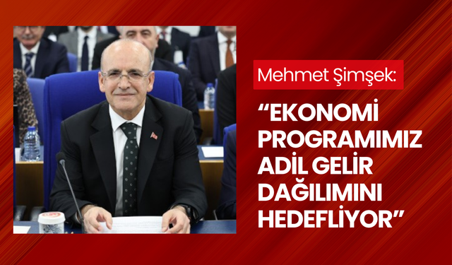 Mehmet Şimşek: “Ekonomi programımız adil gelir dağılımını hedefliyor”