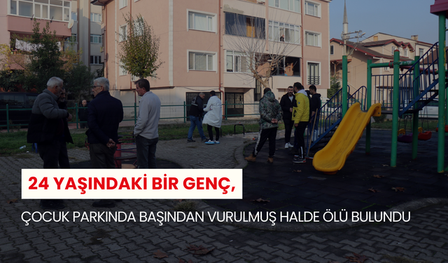 24 yaşındaki bir genç, çocuk parkında başından vurulmuş halde ölü bulundu