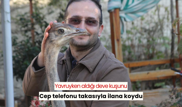 7 aydır beslediği deve kuşunu 25 bin TL'ye satışa koydu, sıfır cep telefonuyla da takas edecek