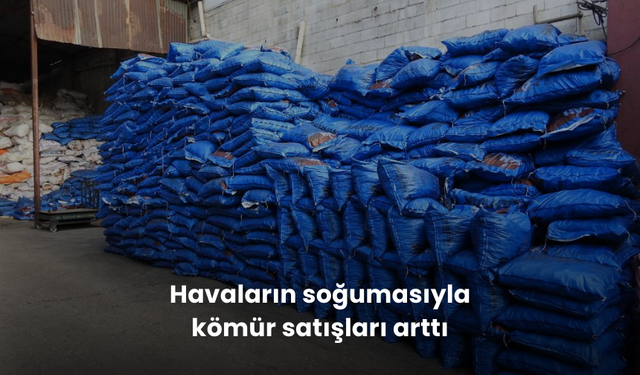 Havaların soğumasıyla kömür satışları arttı