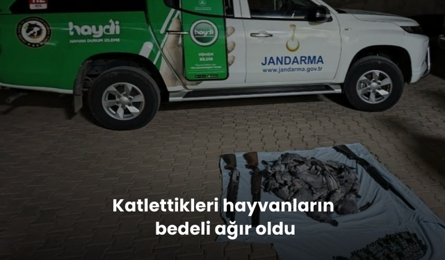 Katlettikleri hayvanların bedeli ağır oldu