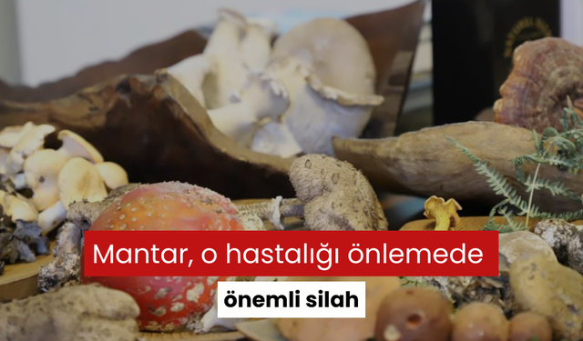 Mantar, o hastalığı önlemede önemli silah