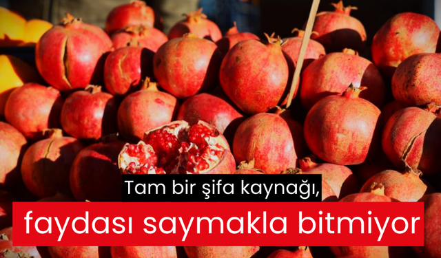 Tam bir şifa kaynağı, faydası saymakla bitmiyor