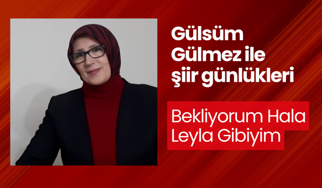 Bekliyorum Hala Leyla Gibiyim