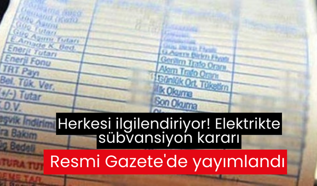 Herkesi ilgilendiriyor! Elektrikte sübvansiyon kararı Resmi Gazete'de yayımlandı