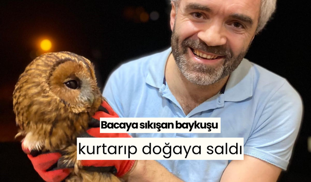 Bacaya sıkışan baykuşu kurtarıp doğaya saldı