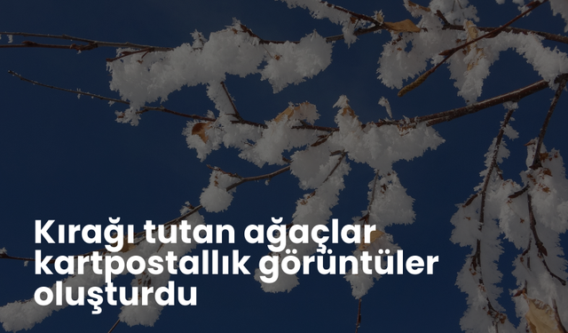 Kırağı tutan ağaçlar kartpostallık görüntüler oluşturdu