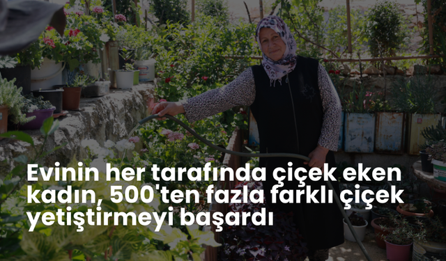 Evinin her tarafında çiçek eken kadın, 500'ten fazla farklı çiçek yetiştirmeyi başardı