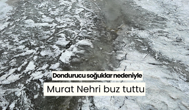 Dondurucu soğuklar nedeniyle Murat Nehri buz tuttu