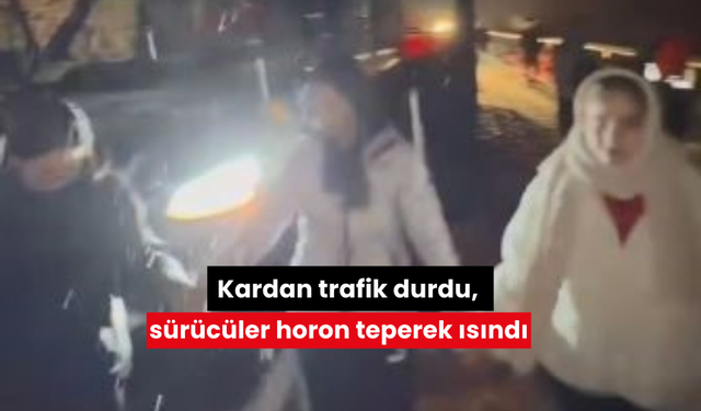 Kardan trafik durdu, sürücüler horon teperek ısındı