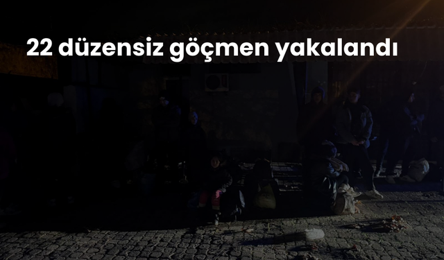 22 düzensiz göçmen yakalandı